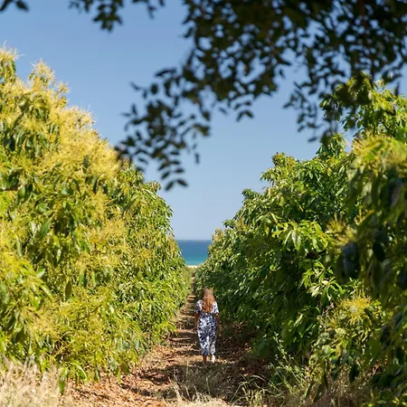 Casas Da Quinta De Cima 팜스테이 *